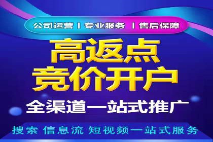 热门充值高返点平台案例分析
